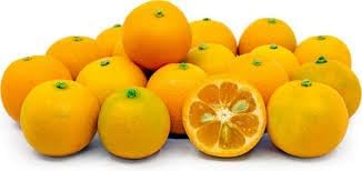 Calamondin Vegetable Seeds for Planting - 100 pcs